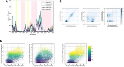 Protein-lipid interactions and protein anchoring modulate the modes of association of the globular domain of the Prion protein and Doppel protein to model membrane patches